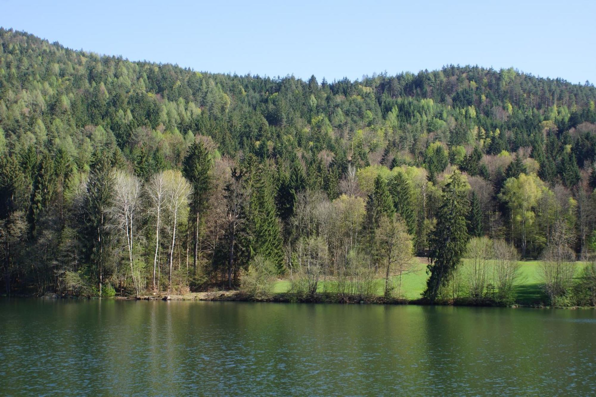 Landgasthof Trattnig Schiefling am See Room photo