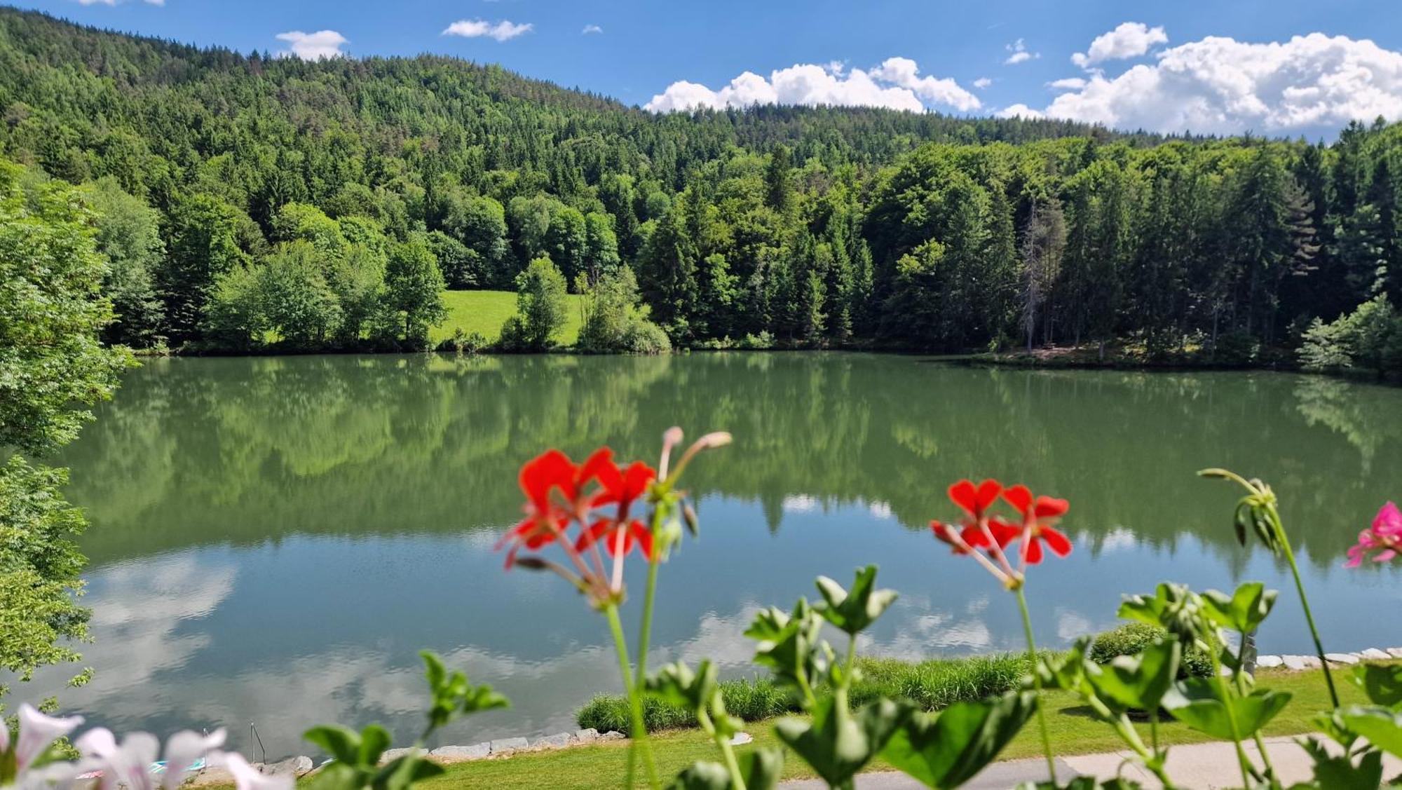 Landgasthof Trattnig Schiefling am See Room photo